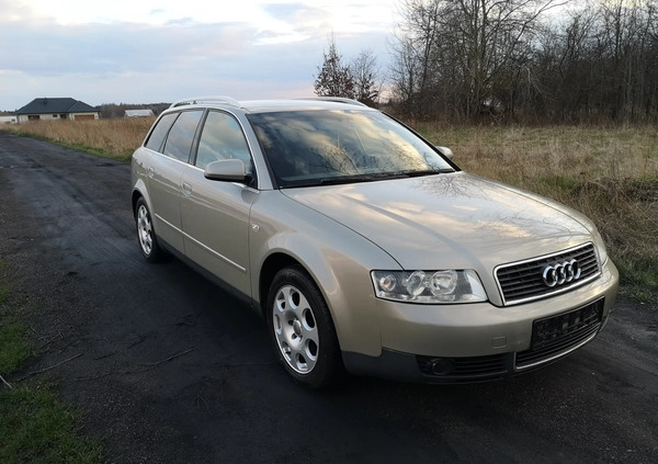 Audi A4 cena 11900 przebieg: 287000, rok produkcji 2003 z Ryki małe 781